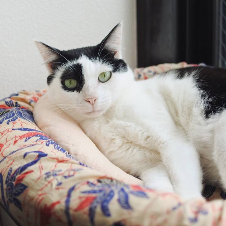 Ab172afc 54cd 43d1 91de 2b064e86482d 1567909278185