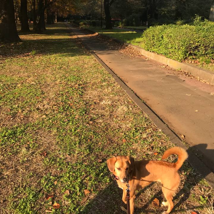 Ab17396e 09c0 4cc3 bf31 77ef2d304a2b 1509612736776