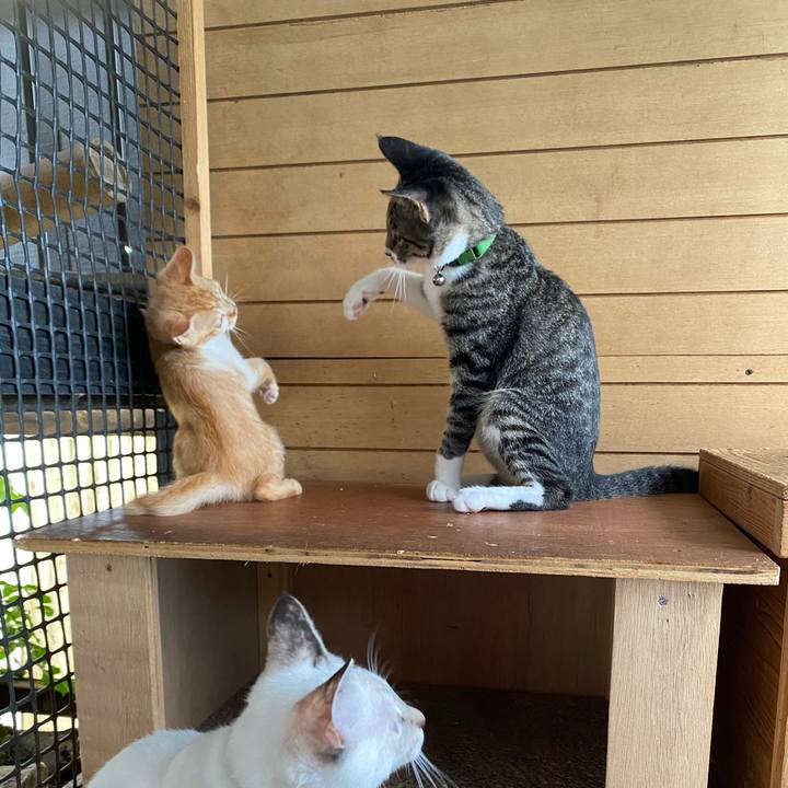 Ab174adc 5111 4385 b63d 0acc2aa78a36 1631417889040