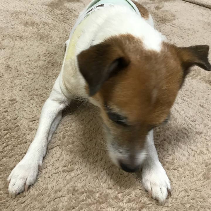 Ab175296 66ec 4e55 b808 e03cc7c92da1 1537428264463