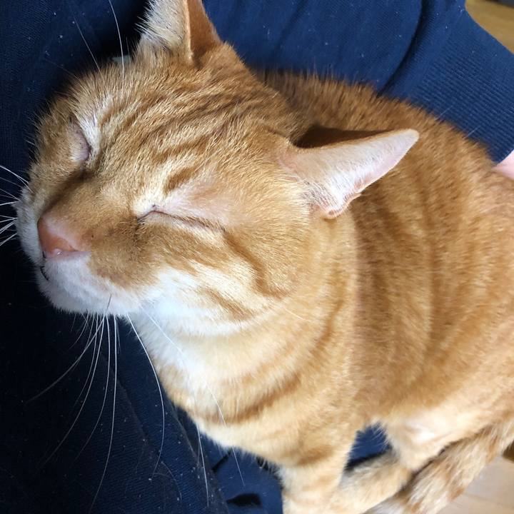 Ab176500 f280 4a3b 930b c005a53f47c7 1740745869699