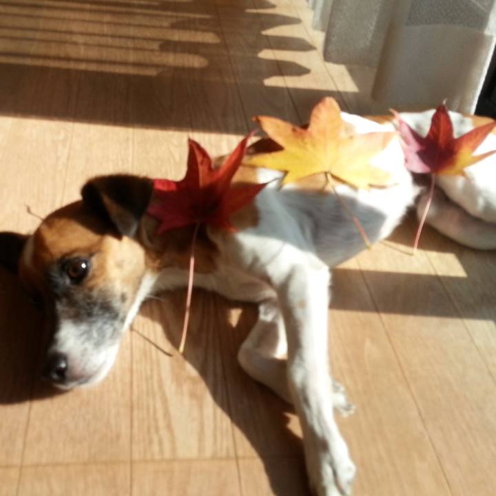 Ab1770a6 43ae 465e 900a 880c04c76162 1634344771636