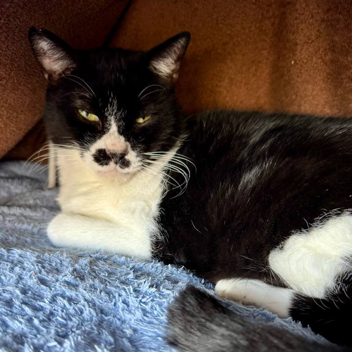 Ab177c7f 2fbe 4f19 9782 2d1afeb615a3 1763510871955