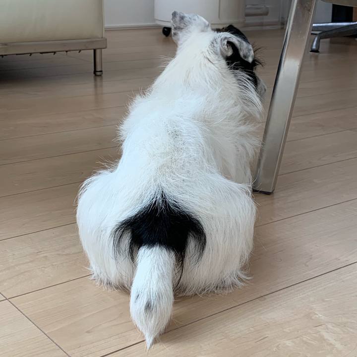 Ab17836a ec21 4fe2 87ca 23283f2a9195 1564472908834