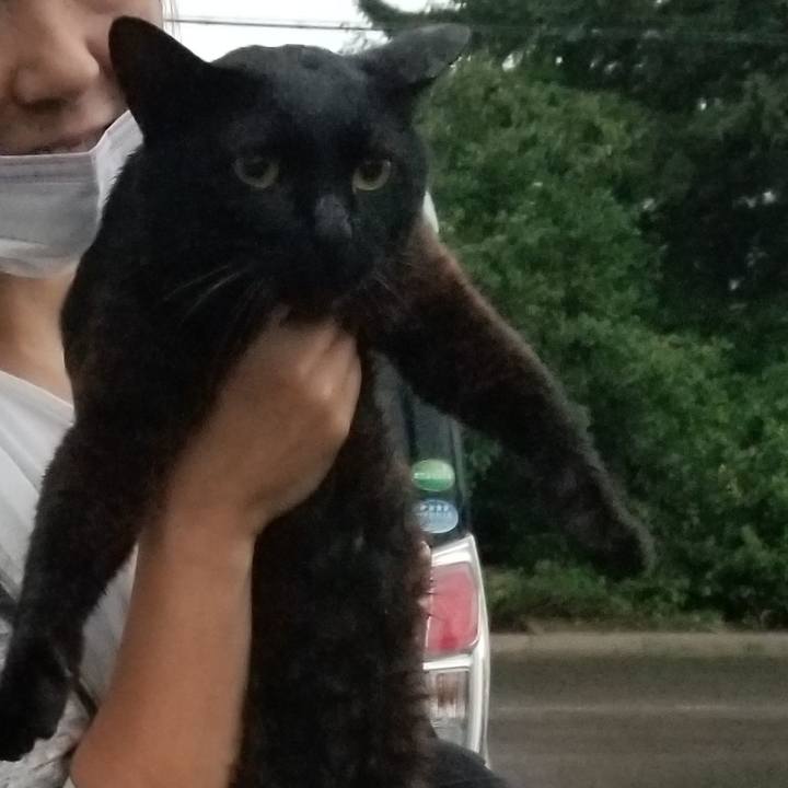 Ab179727 4f65 4e73 a6bc 5b146481d12b 1693259665094