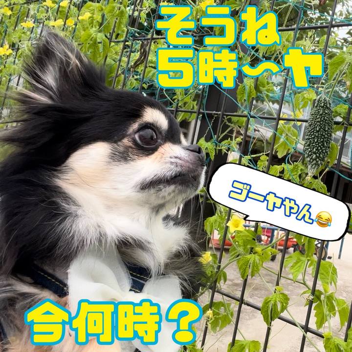 Ab179765 45f0 4ceb a626 594337fb7e18 1688673166667