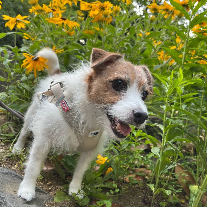 Ab1799dc d87f 463c bf9f c5805155396b 1717854514523