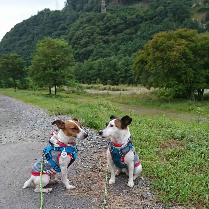 Ab17a03a 9795 4ee3 91db 6f8291e8a153 1567460535821