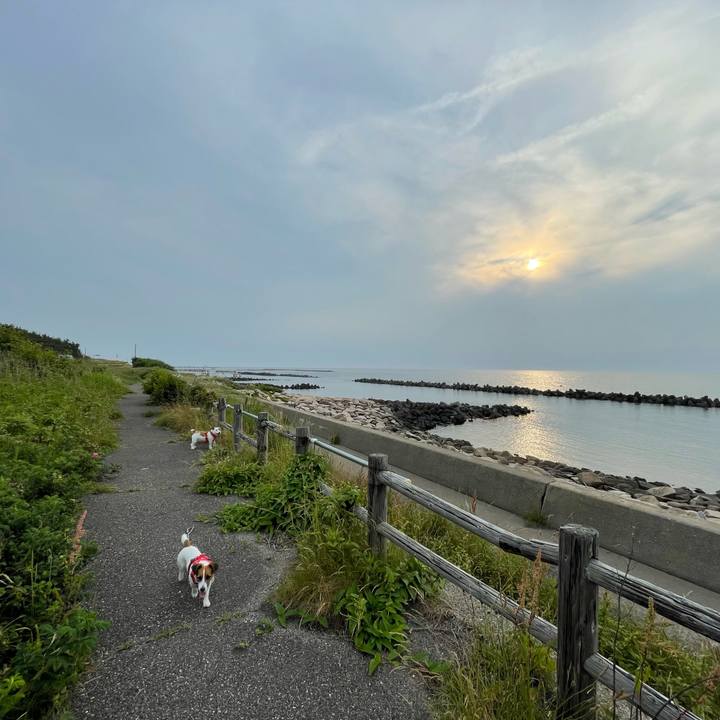 Ab17b178 1223 497d ab45 80fe4a64af5b 1655889126749