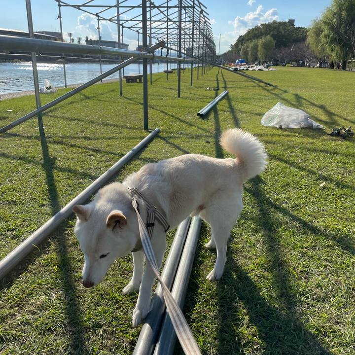 Ab17b5dd 702f 4796 b4a9 22c912a7d037 1635321914582