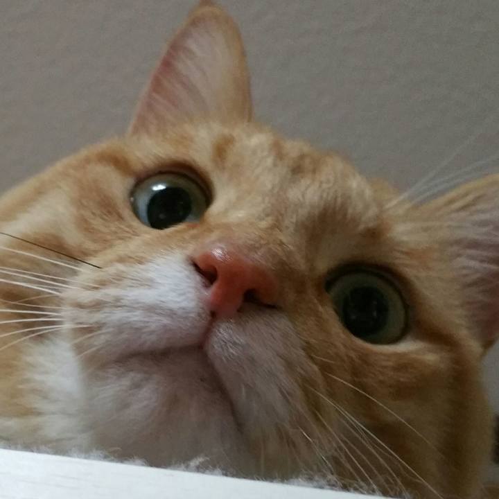 Ab17e989 c928 4d6f 87ac e088b1abf767 1540595245627