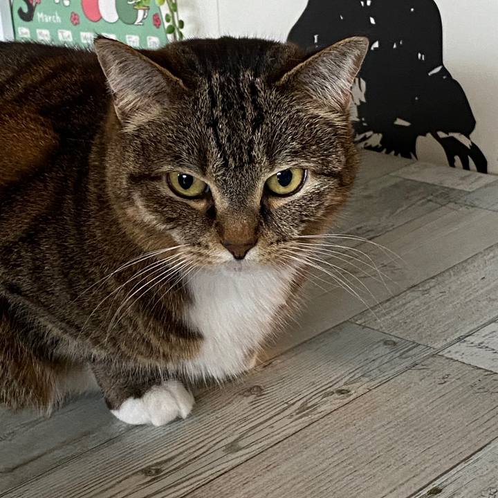 Ab1815e8 666c 4b93 a1a0 32fd5083c63a 1585417963860