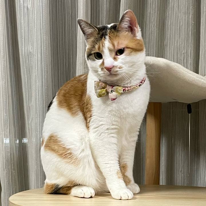 Ab181921 3e6b 4fe1 837b fe503e147995 1647685907512