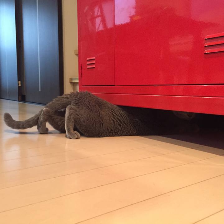 Ab182b62 003a 4a6f ad79 1a353a3a498c 1534653691928