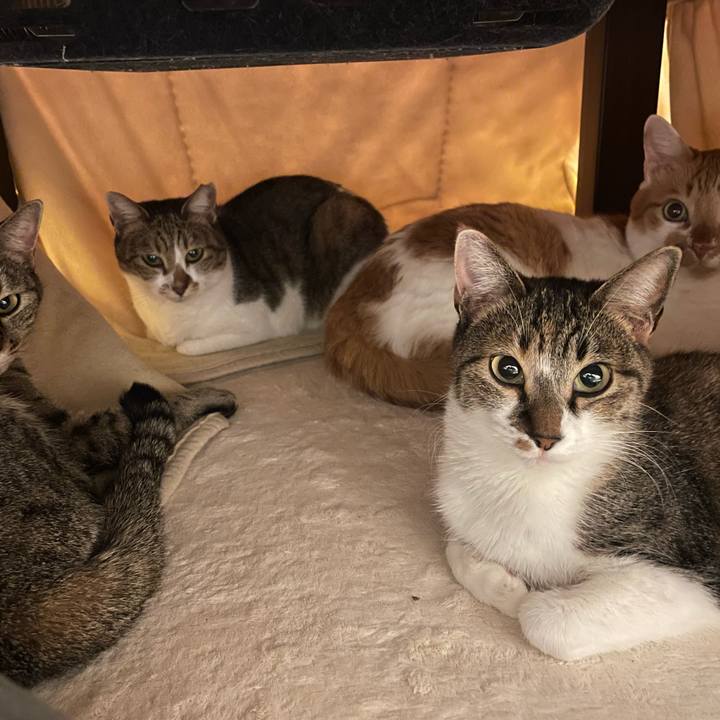 Ab1842e5 838a 44cf bc94 2e21be6b4d96 1734002410102