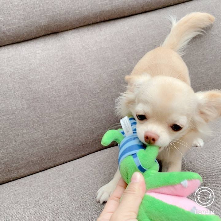 Ab186f08 debb 43f3 9aef 3ef2c391abf8 1603433829390