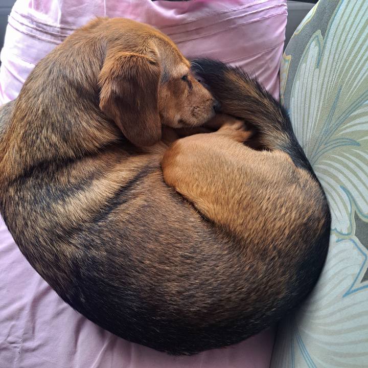 Ab187fb4 9380 44b4 96f8 91ec6b60b345 1775350078611