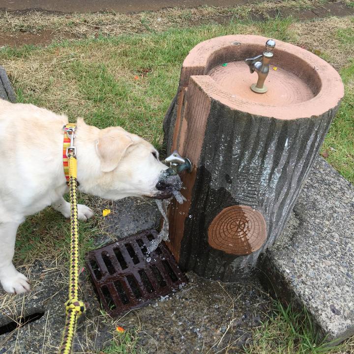 Ab18881d 2d1e 468e 9f4d fded5600740b 1529471332764