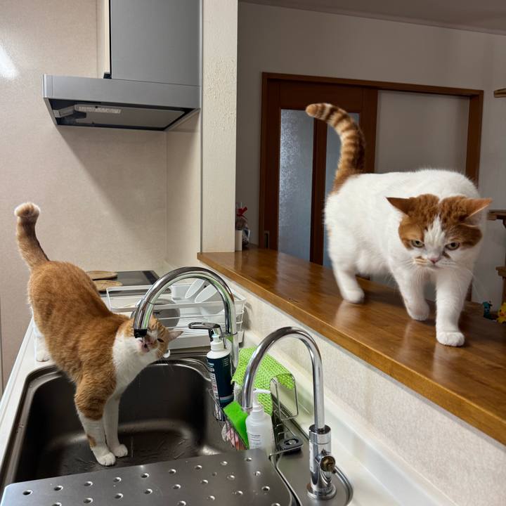 Ab18b61d 4f13 4352 bb70 5b5fc85560b6 1772849223868