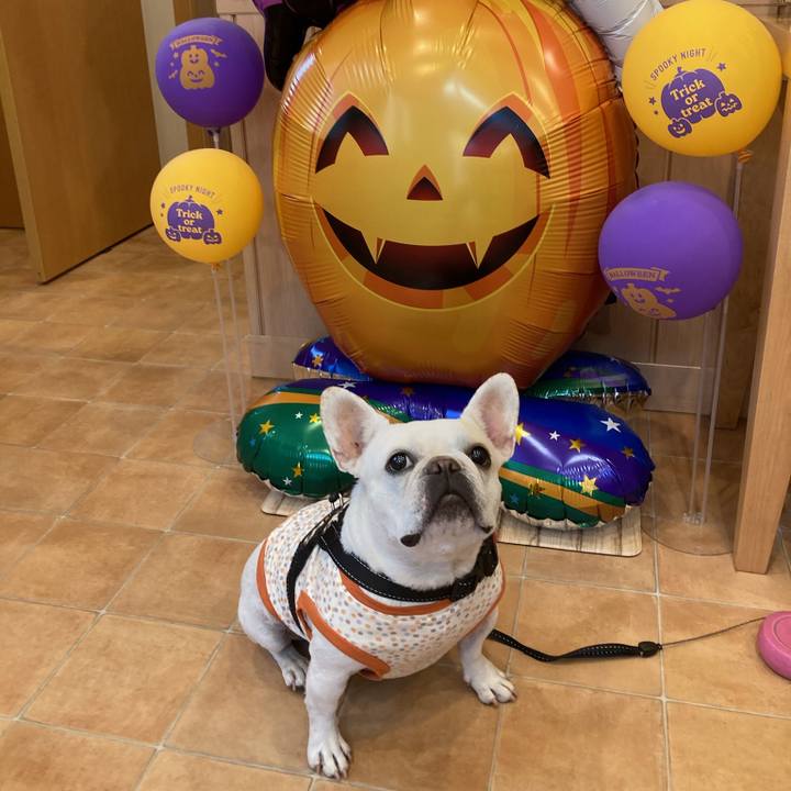 Ab18ddc9 7884 4cd4 b85a 65ebc25e112c 1728559375128