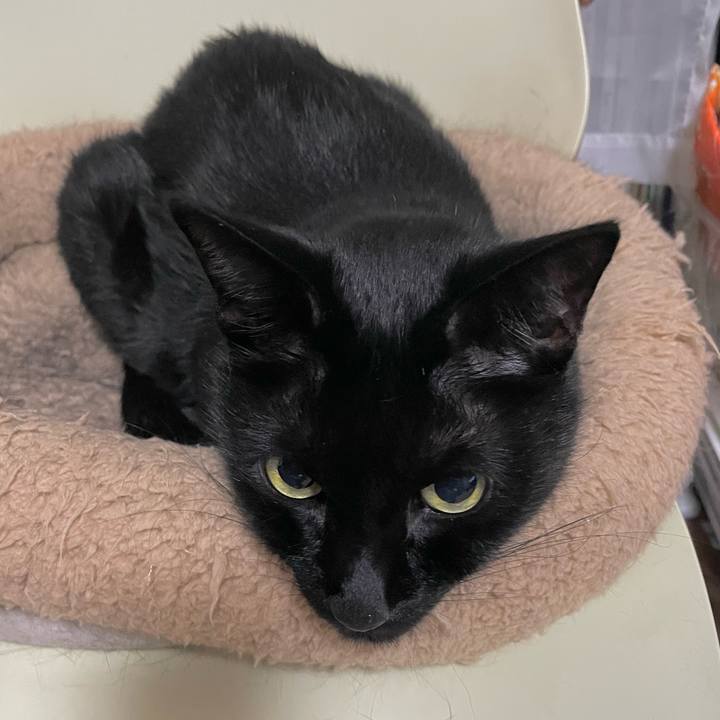 Ab19302d 3a45 4643 bdaa 6254a4afc8c4 1699278236475