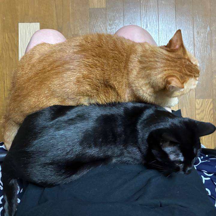 Ab199933 cd84 498a bc4a 26a72d871842 1762174108305