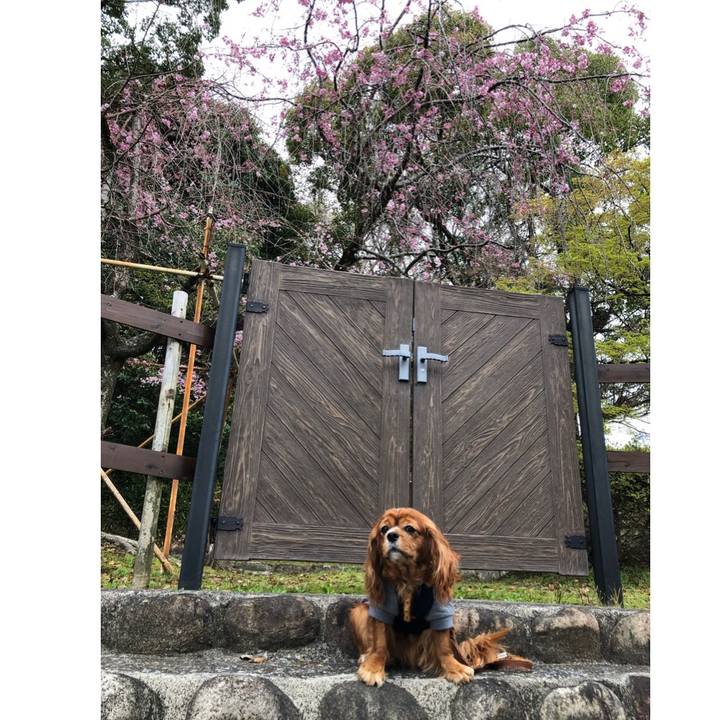 Ab19a236 13de 4600 8cf2 1fabe61f37b4 1648945578751