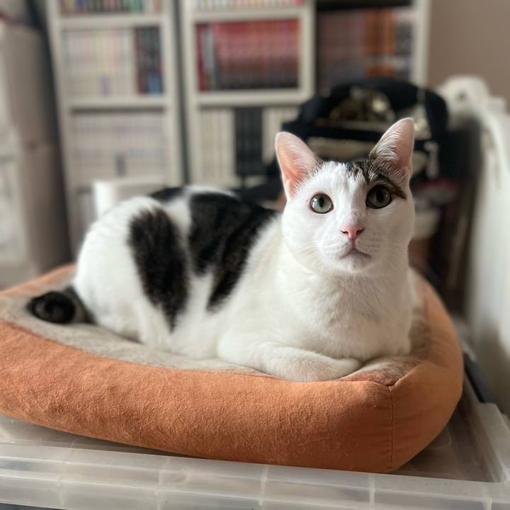 Ab19aaff 72c3 4ec3 b811 675883fd6c86 1695469824819