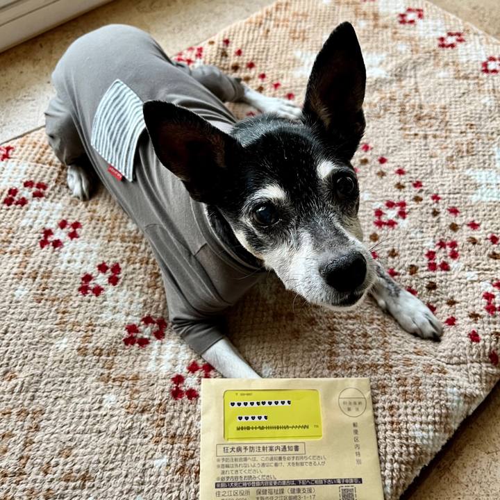 Ab19adc5 2c44 4903 a014 f00f52e0263d 1646867532373