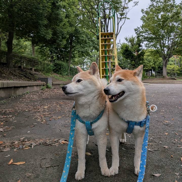 Ab19da03 339b 4365 a159 0f92738ecba0 1752212175792