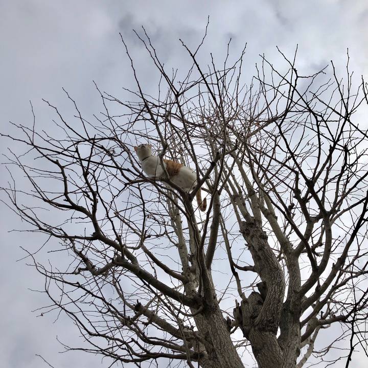 Ab19f9e6 ceeb 4b4a b73c 0aae0a83dee5 1548427703894