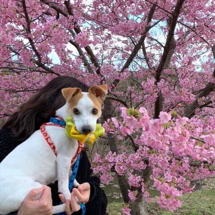 Ab1a0cd4 7dc2 4666 b237 300d1f8da673 1582104848503