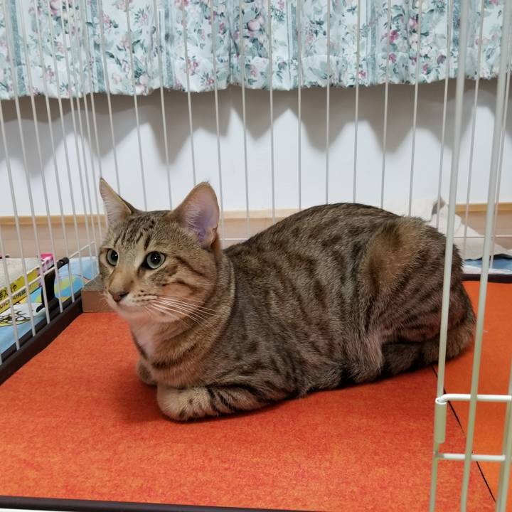 Ab1a1ff4 2e9e 44dc 9991 af7012e885aa 1582634433648