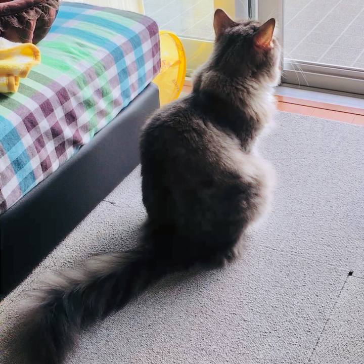 Ab1a3ddd 6582 4432 a3b6 a43836ad4f7c 1511141295147