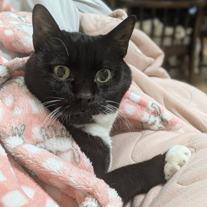 Ab1a66a4 01e4 4bf9 a7cb 06c6ce600042 1770992666586