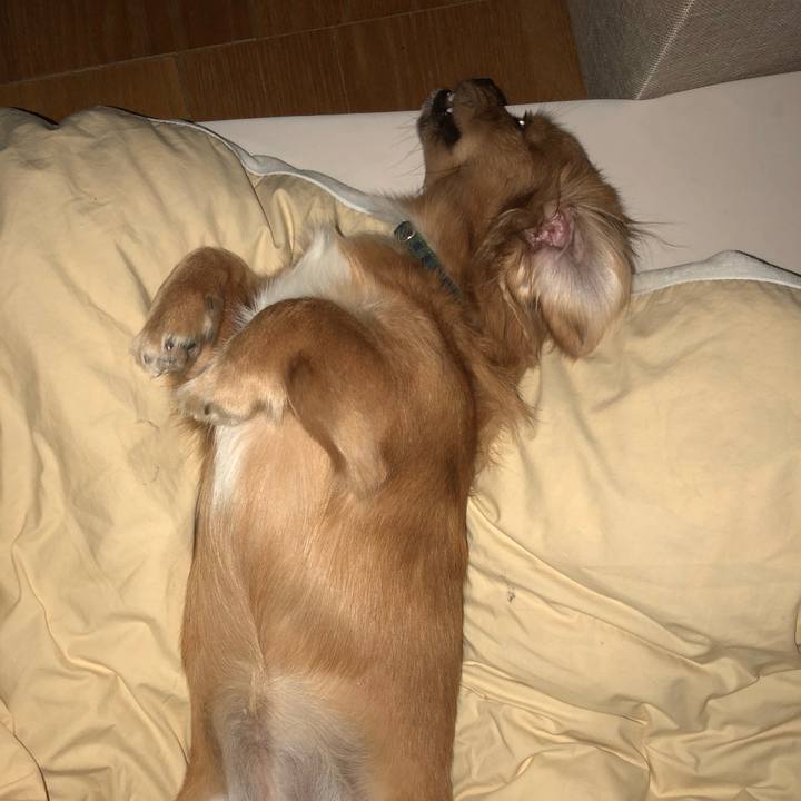 Ab1a72b6 0c55 4cf3 a0e7 d61b68656e26 1508059949027