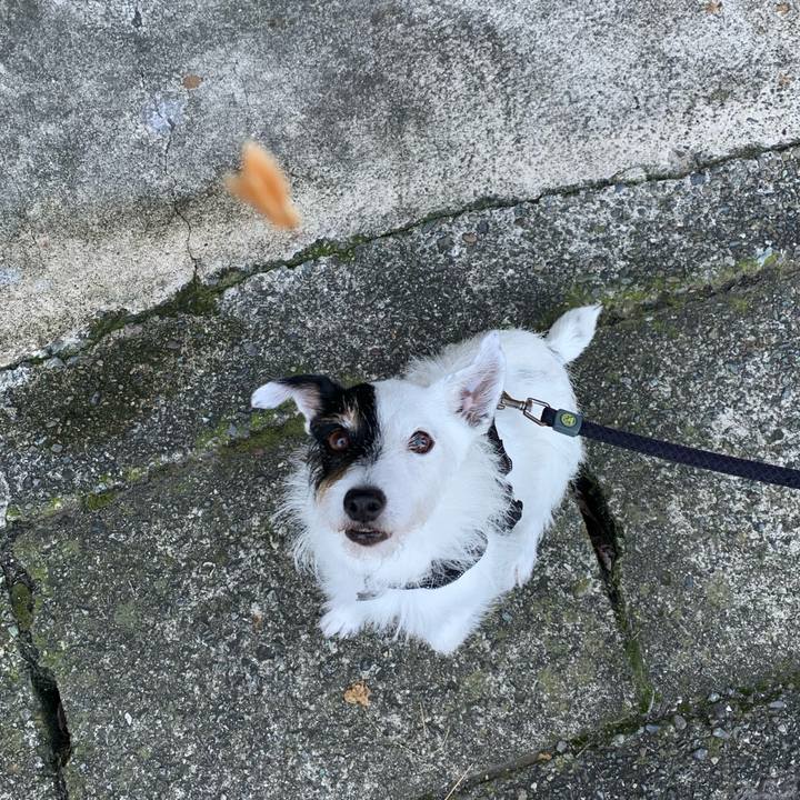 Ab1ae563 29be 4030 aea2 6cec99324086 1720134741801