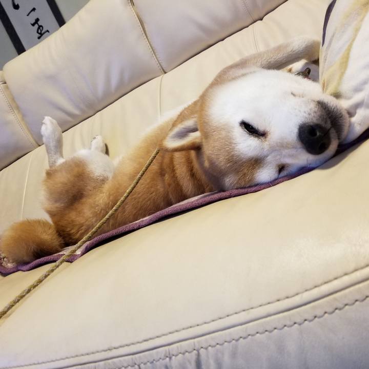 Ab1afee1 2767 4f60 8397 756b30ba203d 1599453689959