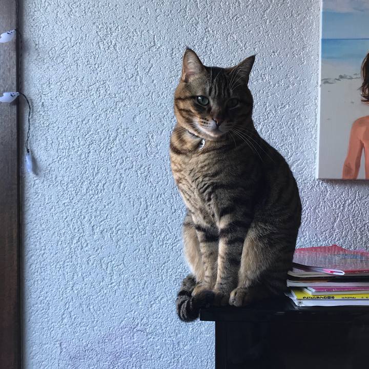 Ab1b081d 17a1 400d b1f1 e6c5e94e6c02 1516923126222