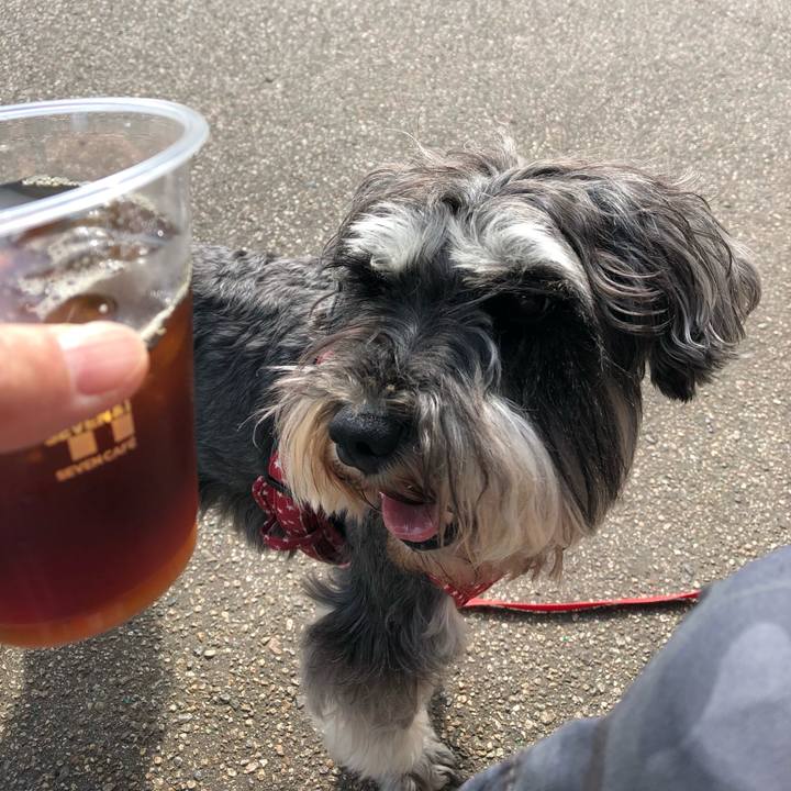 Ab1b098e ceba 4a29 b0a6 8eac87d45cf2 1560060466092