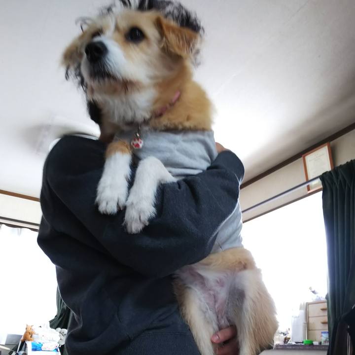 Ab1b0df6 4ed3 4155 af2b 2f118e896f6f 1550194863548