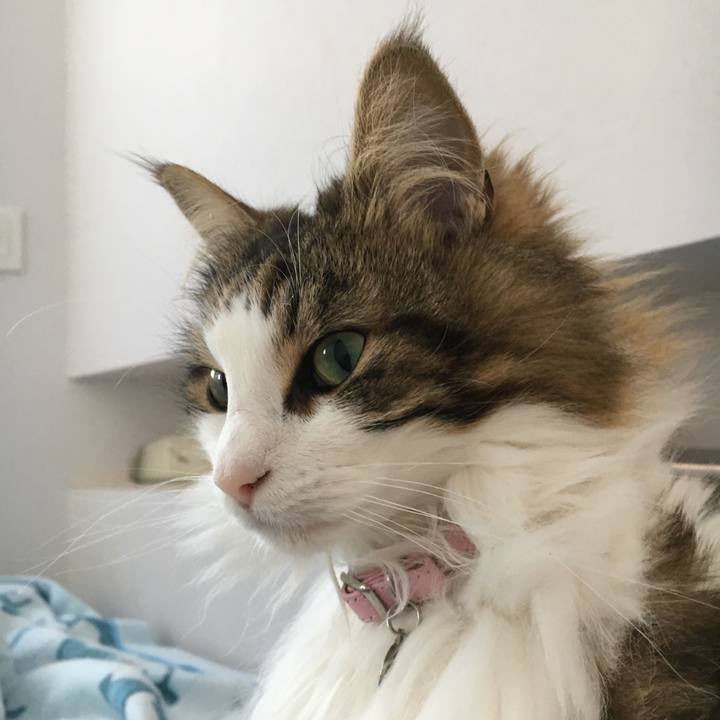 Ab1b195b 87b6 4423 83f1 9c6f34002498 1524987172170