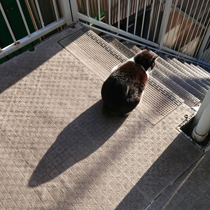 Ab1b1b8d 1c94 4196 83e2 b4cba5524dc0 1554778367171