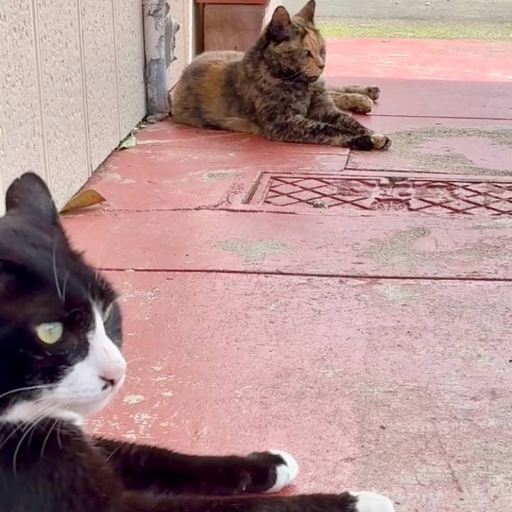 Ab1b24d8 edf8 46d2 8c4b bdee56f2ace7 1750127219614