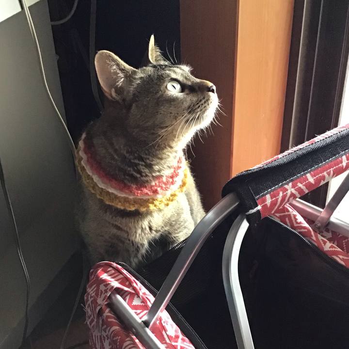 Ab1b9926 a17c 42fc 8862 7da703e40a6c 1623480154688