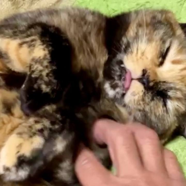 Ab1bb9ff 2182 488a 98d0 32105ba96b47 1737890447471