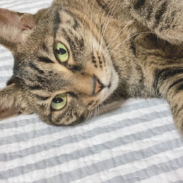 Ab1bbbba 8ed5 485e 944c e698120aa260 1596962832575