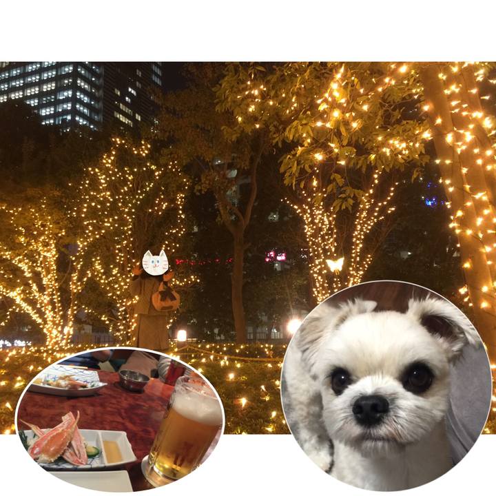 Ab1bbe62 7d2a 44db b352 d7959bcd45f3 1545307436929