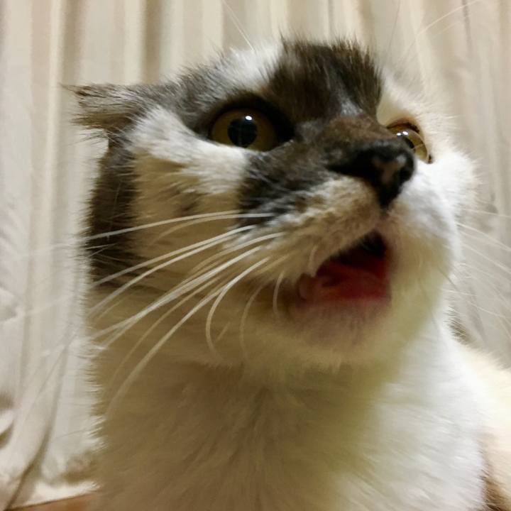 Ab1bda11 4e9a 4416 8011 c71aa8ecfbba 1516713332805