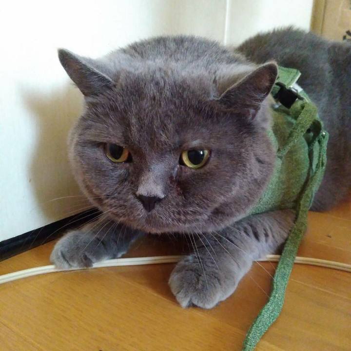 Ab1be59f c9be 4cec b159 5558ccf2d834 1624496936204